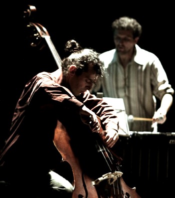 Daniele Roccato Contrabbasso Double Bass